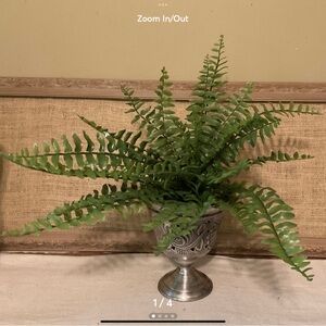 Artificial Fern